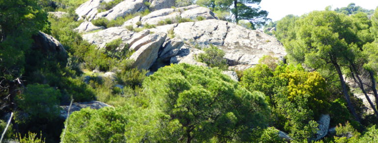 Thessalonica Rocks1