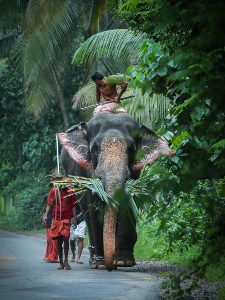 Kerala-godwin-angeline-benjo-size-unsplash Kerala-godwin-angeline-benjo-size-unsplash